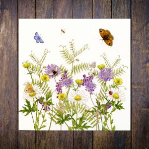 wildflower meadow greetings card
