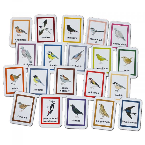 garden birds flash cards