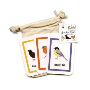garden birds flash cards
