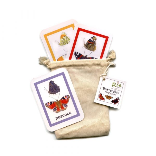Butterfly-Flash-cards
