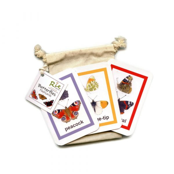 Butterfly-Flash-cards