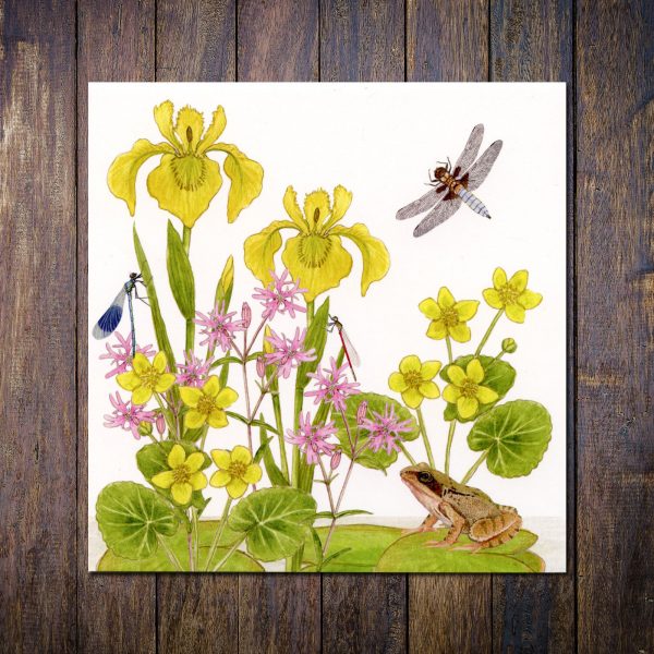 Wetland-wildflowers-greetings-card