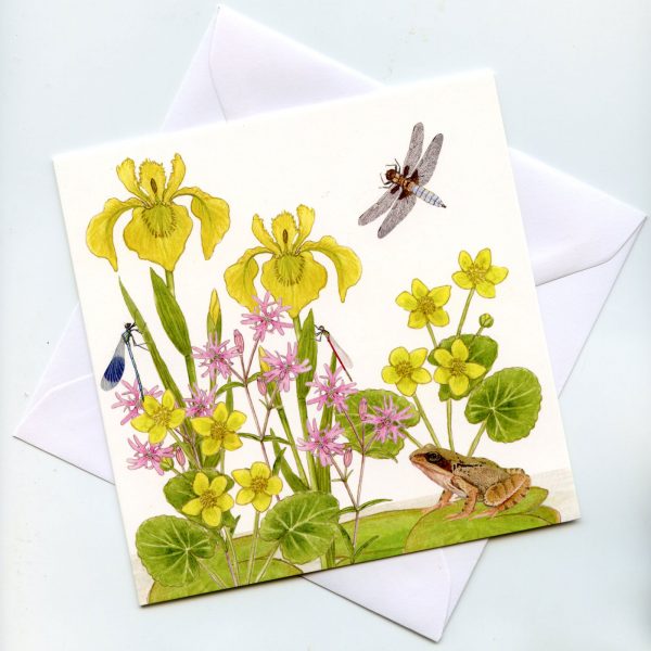 Wetland-wildflowers-greetings-card