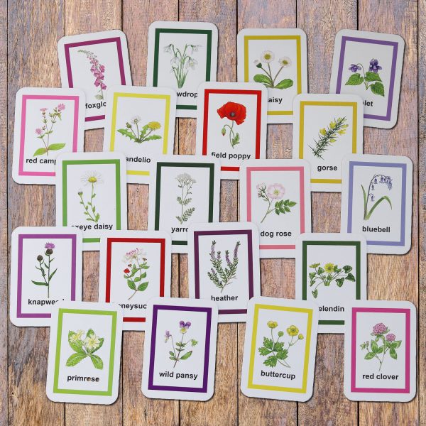 Wild-Flower-flashcards