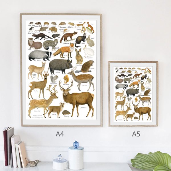 A4 A5 Mammals Chart