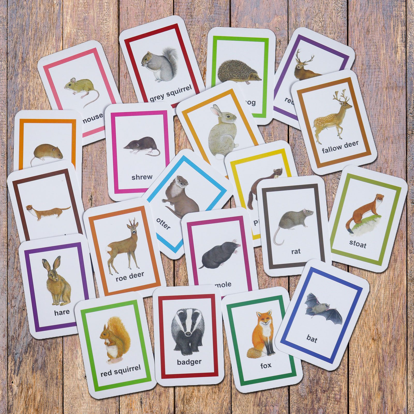 Pack of 20 British wild Animals Flash Cards, Identification cards