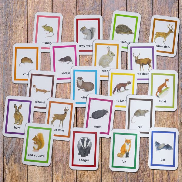Wild-Animals-Flashcards