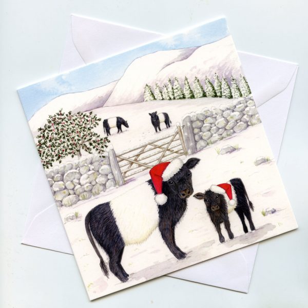 Snowy-Beltie-Christmas-card