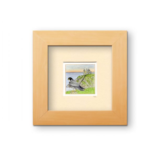 Peregrine, Dunskey Castle, Portpatrick mini print