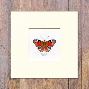 Peacock-butterfly-mounted-print