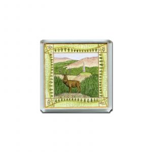 Red-Deer-Galloway-Square-magnet