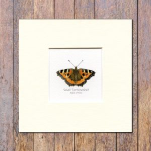 Small-tortoiseshell-butterfly-mounted-print