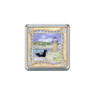 Tystie-Portpatrick-square-magnet