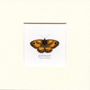 gatekeeper-butterfly-mounted-print