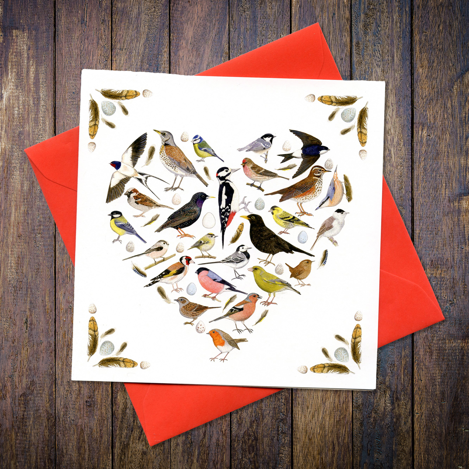 Love Birds Blank Greetings Card new