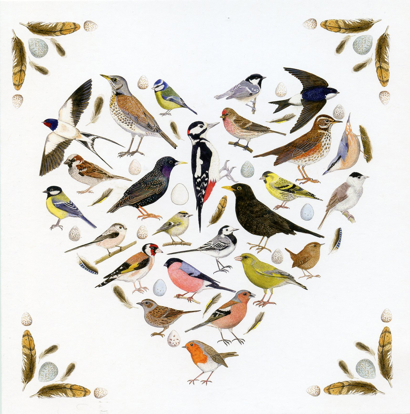 Love Birds Blank Greetings Card new