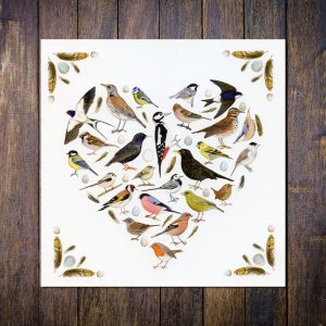 Love Birds Blank Greetings Card new