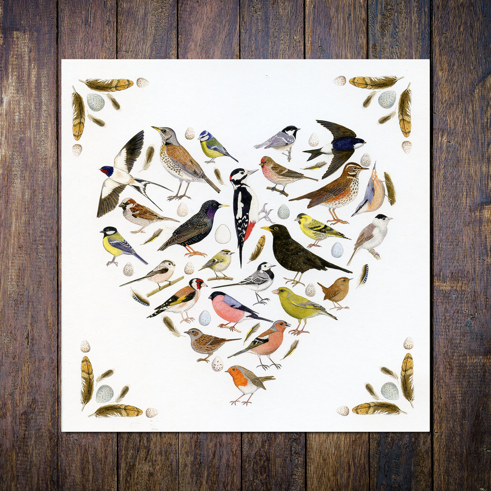 Love Birds Blank Greetings Card new
