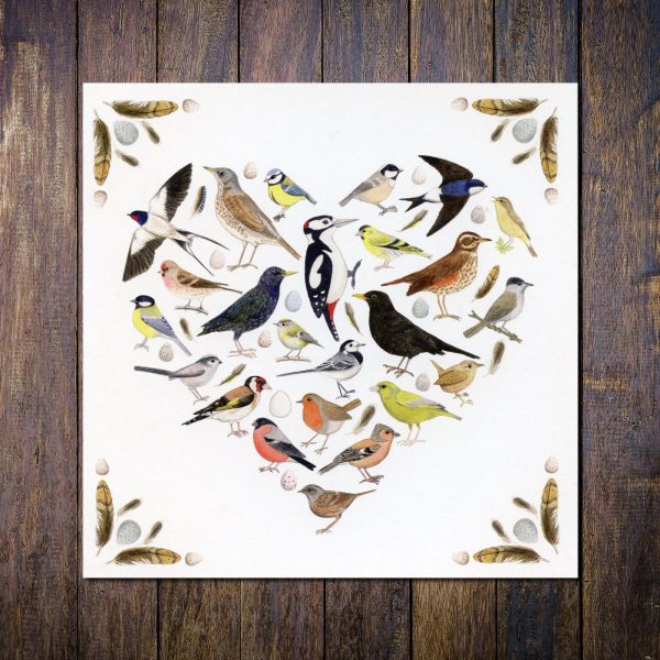 Love-Birds-Greetings-Card