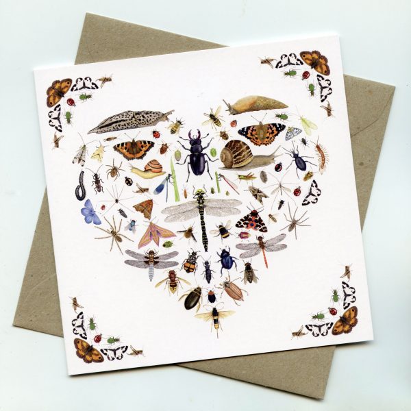 Love-Bugs-Greetings-Card