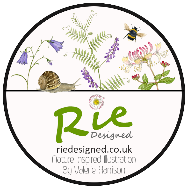 Rie Designed