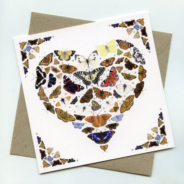 Love-Butterflies-Greetings-Card