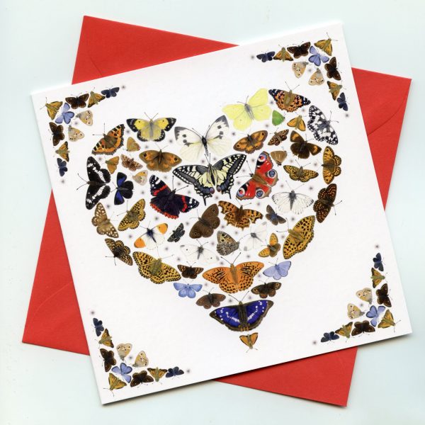 Love-Butterflies-Greetings-Card