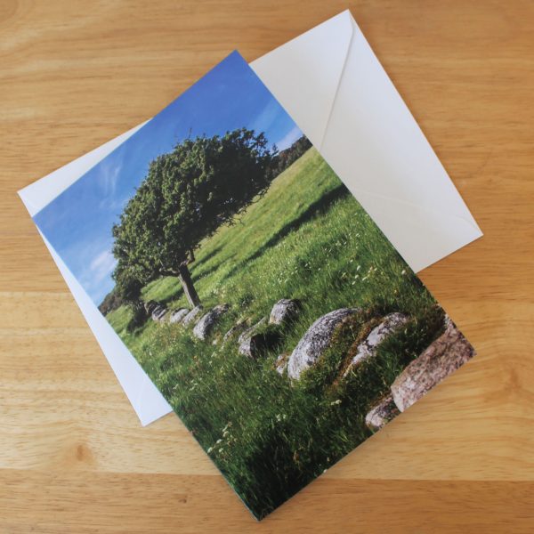 Tree Sandyhills-Dumfries-&-Galloway-Photo-Card