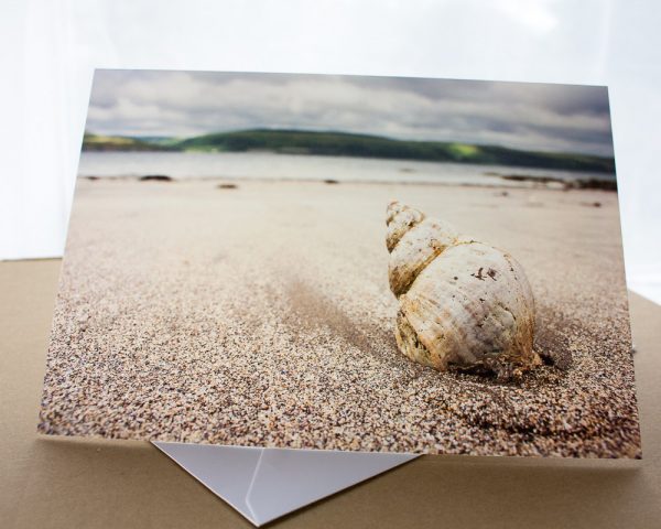 Shell-Lady-Bay-Photo-Card