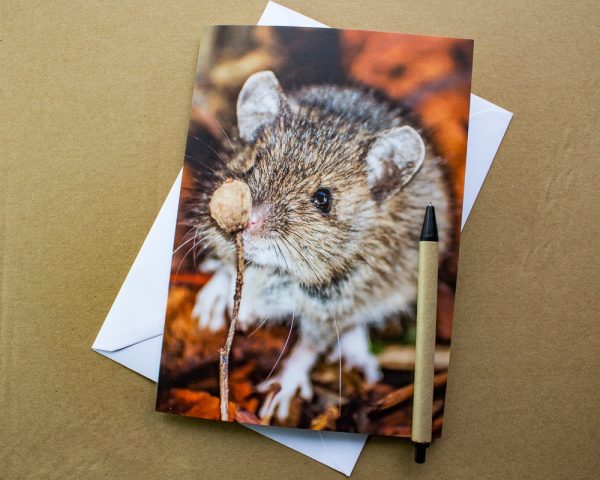 wood mouse greetings card