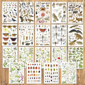 set 19 A5 nature charts