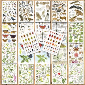 set 22 A5 nature
