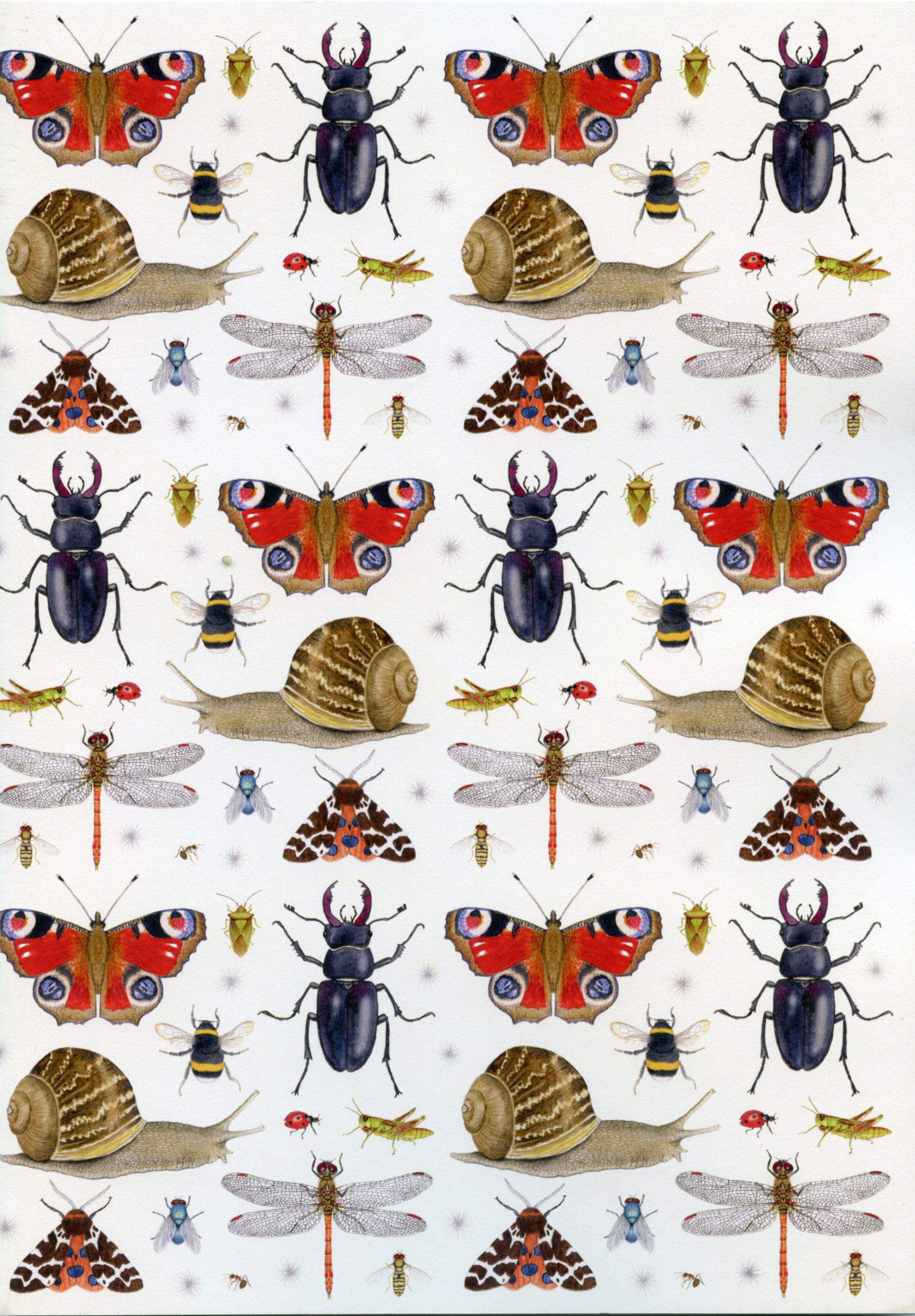 Minibeasts-A5-recycled-notebook
