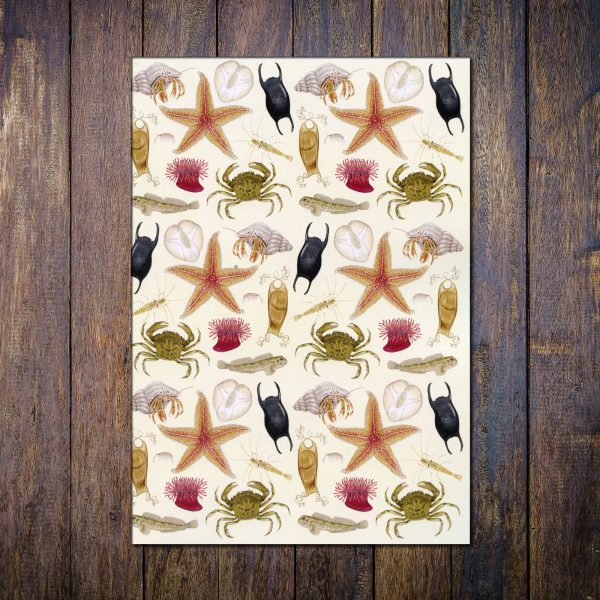 Seashore-A5-recycled-notebook