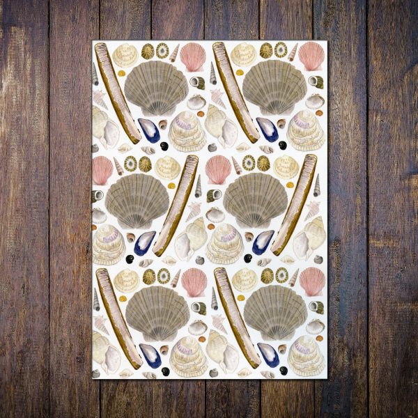 seashells-A5-recycled-notebook