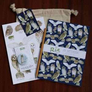 Owls-gift-bag