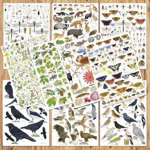 Set 10 A3 posters