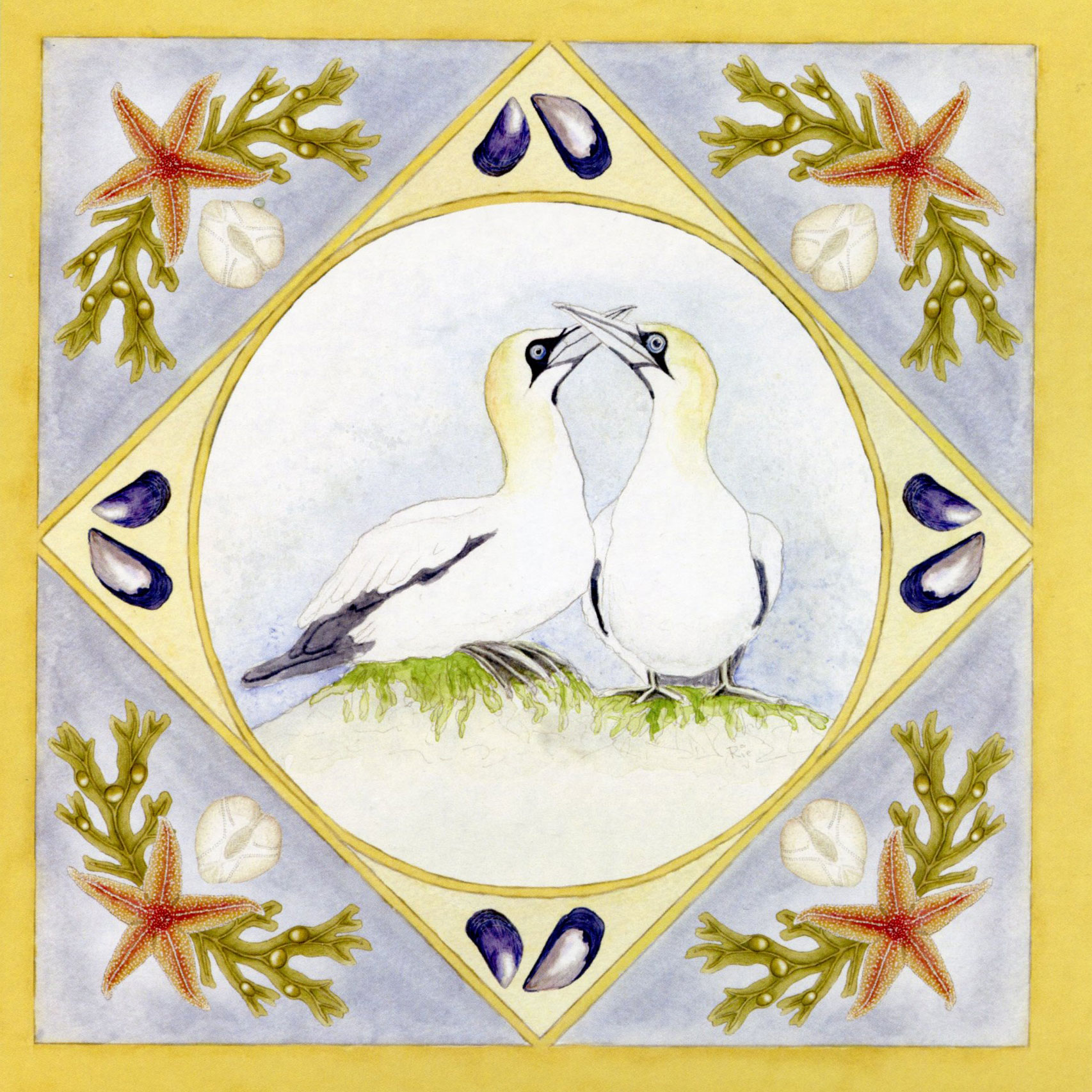 Gannets-with-border-greetings-card