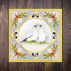 Gannets-with-border-greetings-card