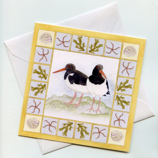 Oystercatchers-with-border-greetings-card