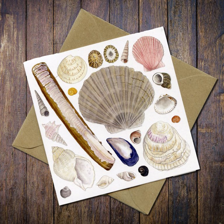 Seashore Greetings Card