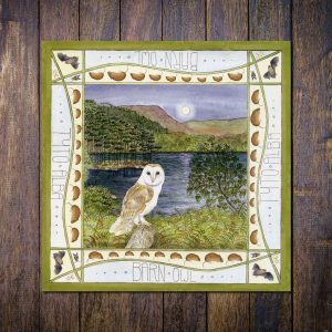 Barn-Owl-Loch-Trool-Greetings-Card
