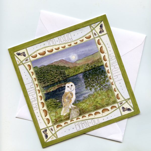 Barn-Owl-Loch-Trool-Greetings-Card