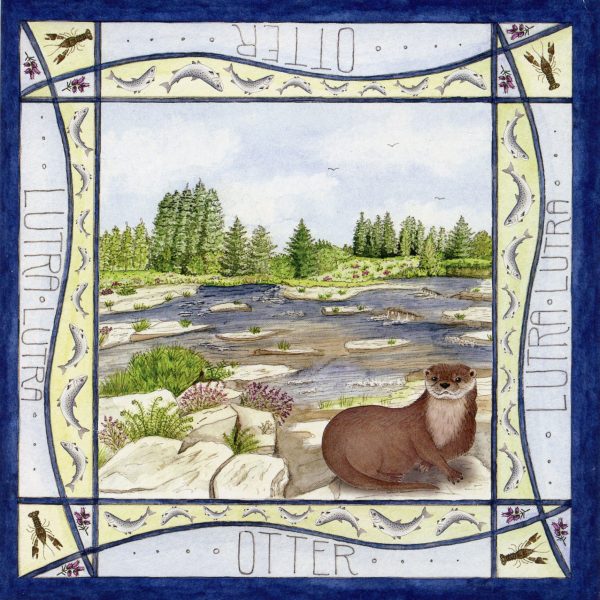 Otter-Pool-Greetings-Card
