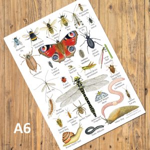 A6-Bugs-Chart