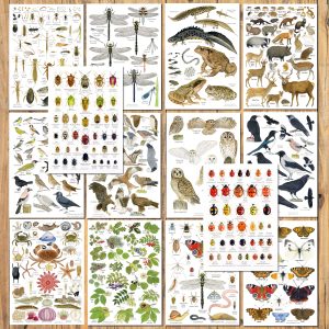 set 14 A5 nature charts