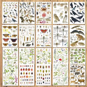 set 20 A5 nature charts