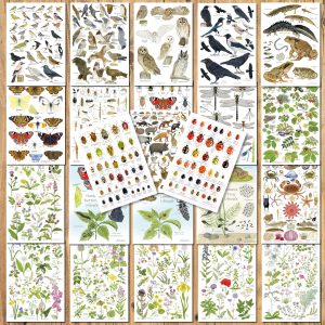 set 23 A5 nature charts