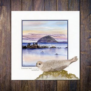 Common Seal, Lendalfoot with Ailsa Craig, Ayrshire Blank Greetings Card