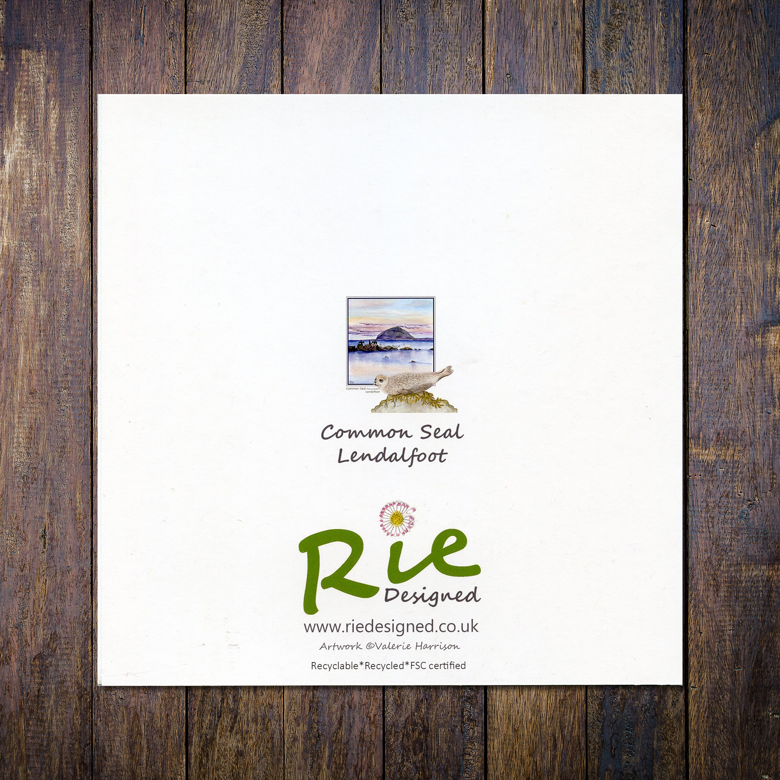 Common Seal Lendalfoot with Ailsa Greetings Card